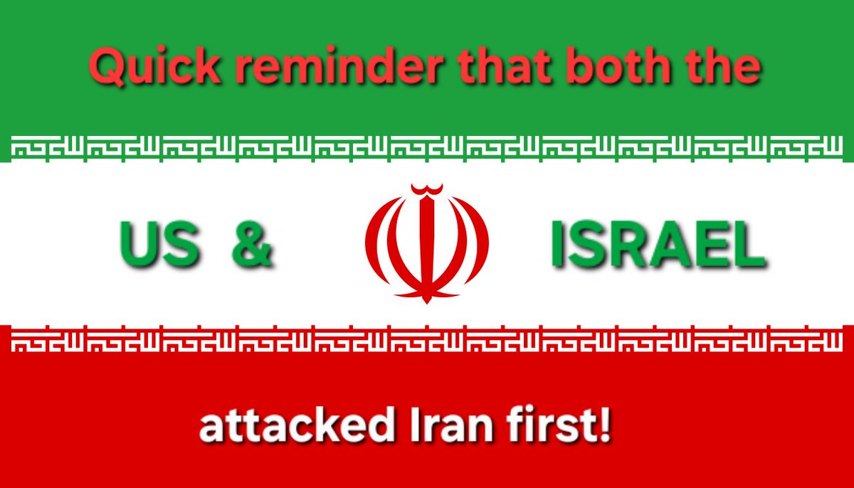 Dexter Bear ‼️ tweet media