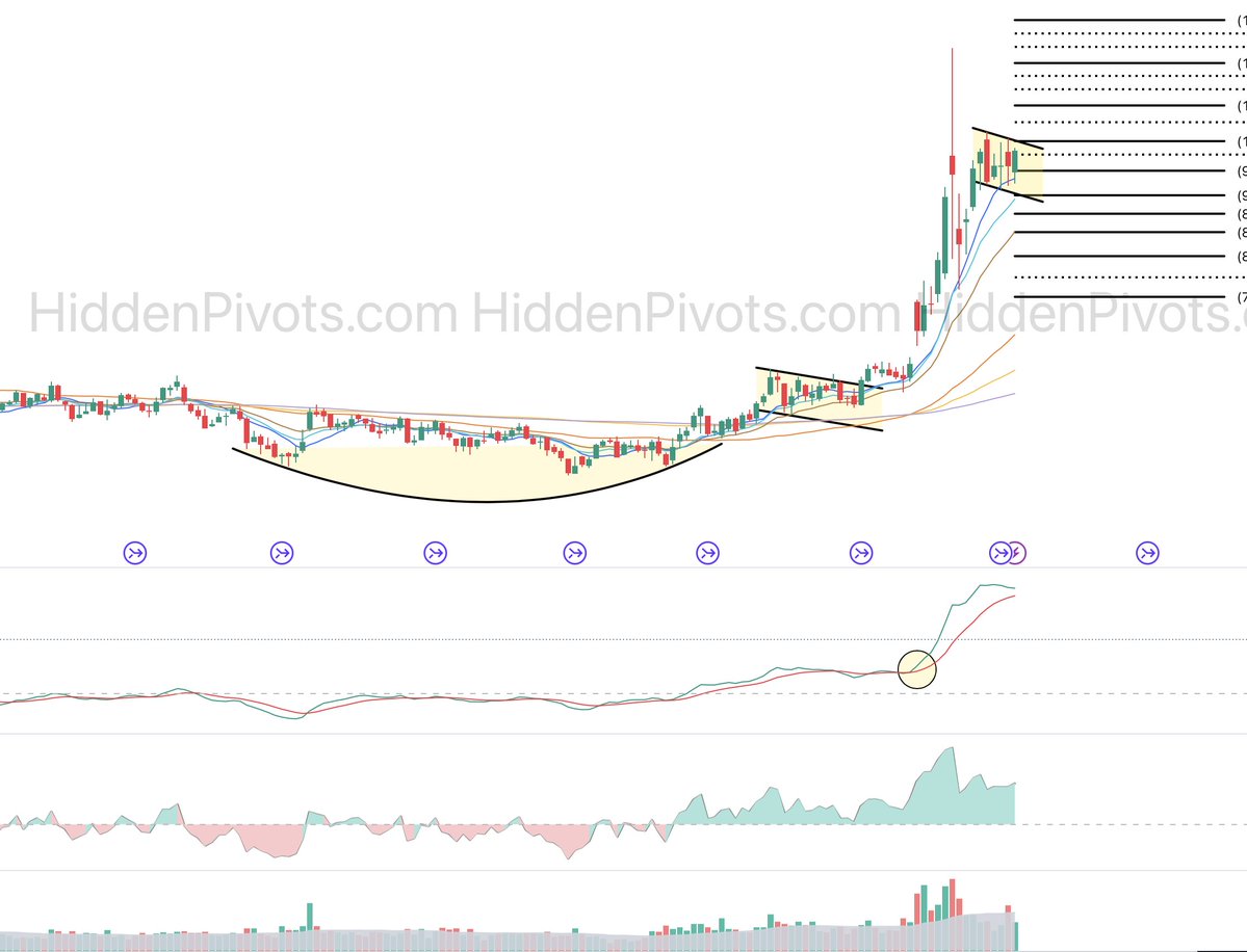 HiddenPivots tweet media