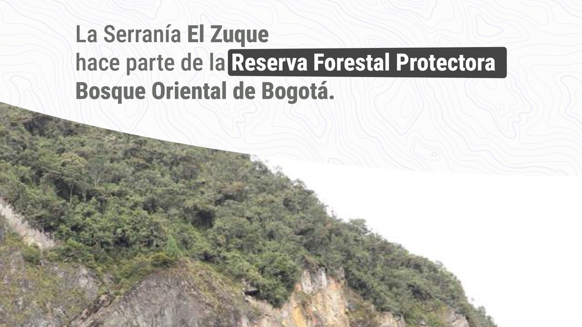 Contraloría de Bogotá D.C tweet media