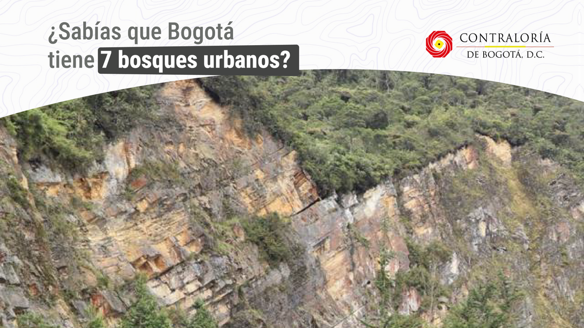 Contraloría de Bogotá D.C tweet media