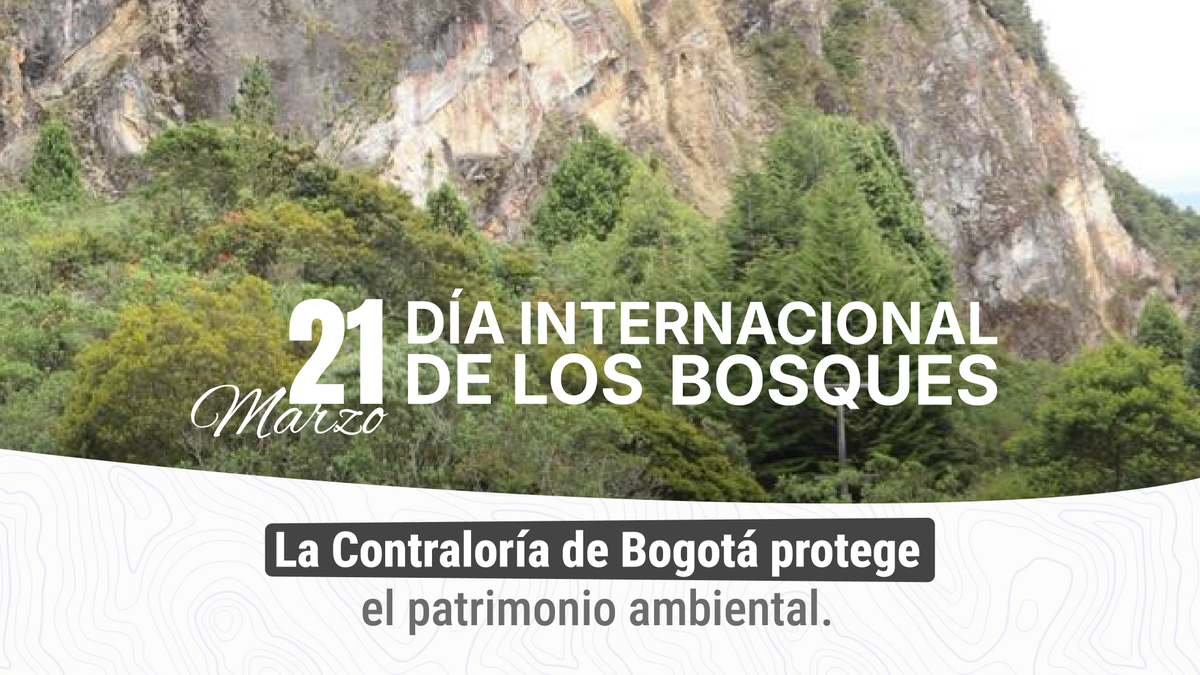 Contraloría de Bogotá D.C tweet media