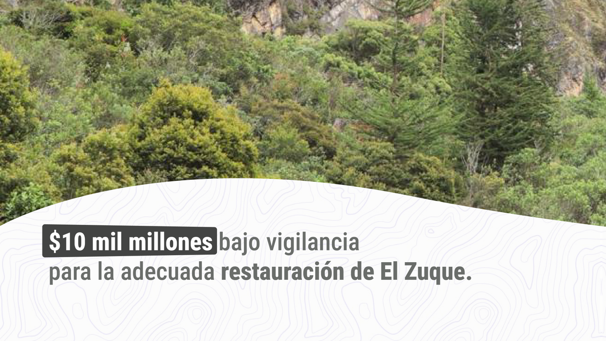 Contraloría de Bogotá D.C tweet media