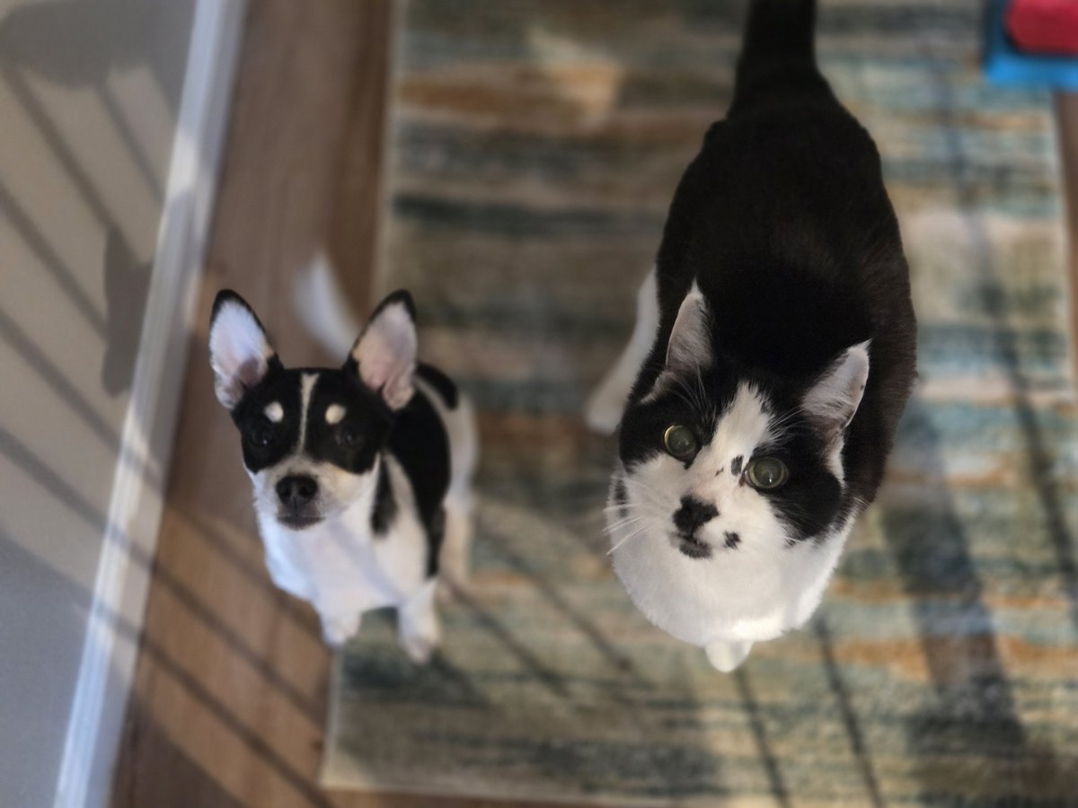 jessica nicole tweet media