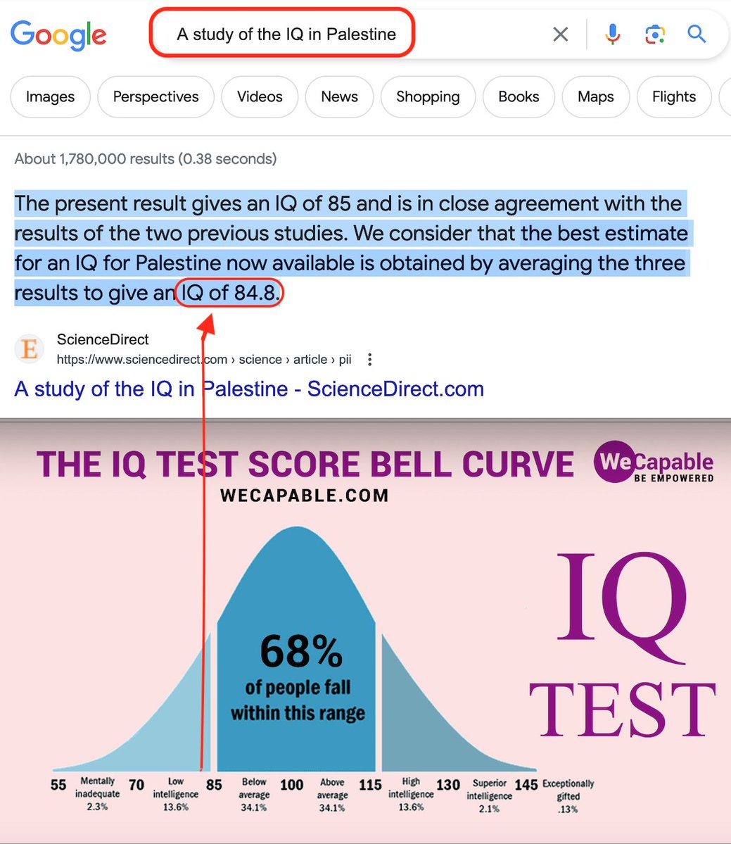 🇮🇱 Phillip Pasmanick 🇮🇱 💛 tweet media