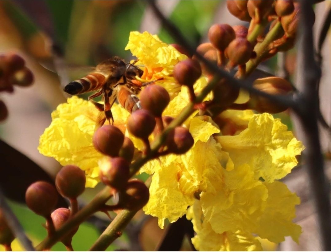 Arvind Mishra 🇮🇳 tweet media