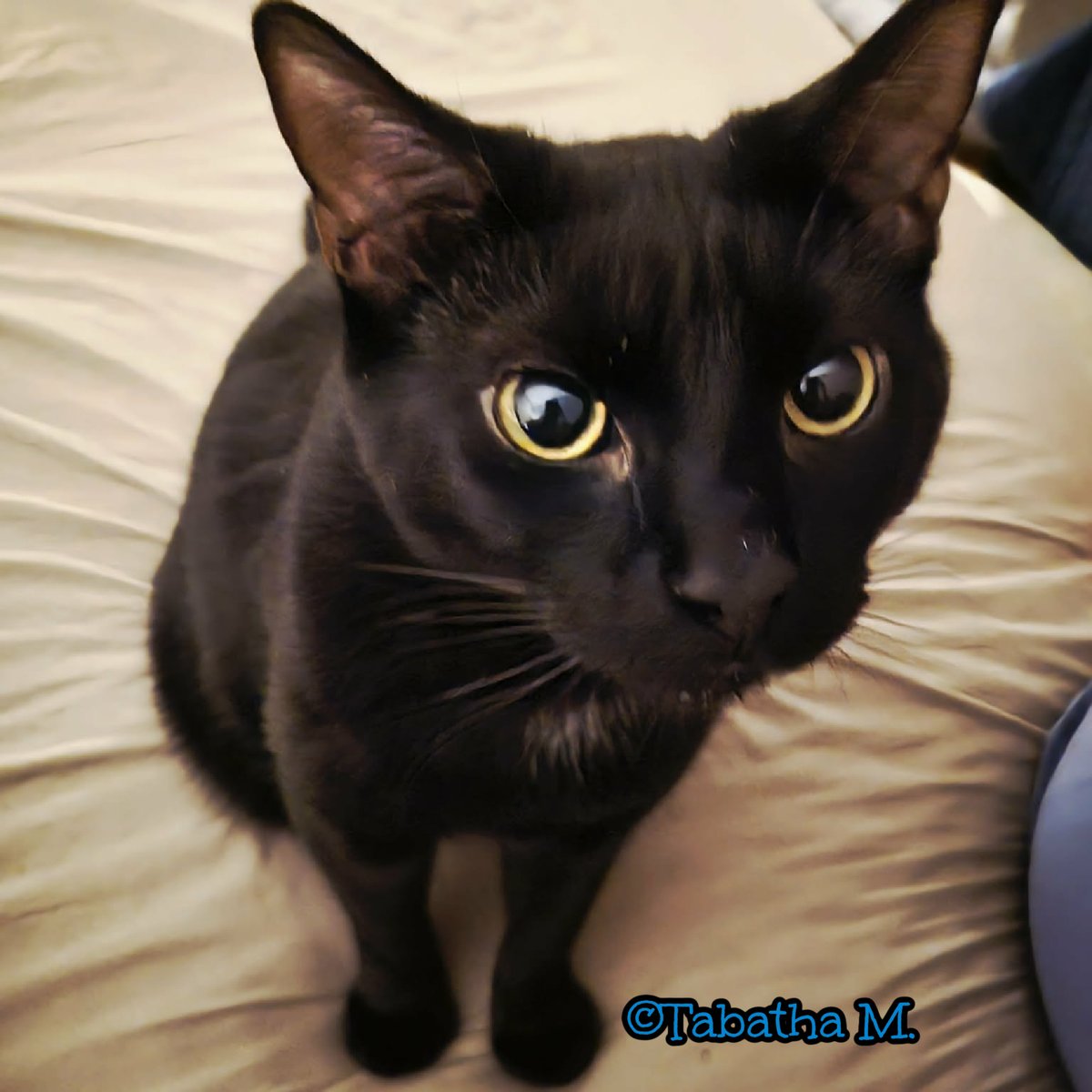 Robyn Anderson tweet media