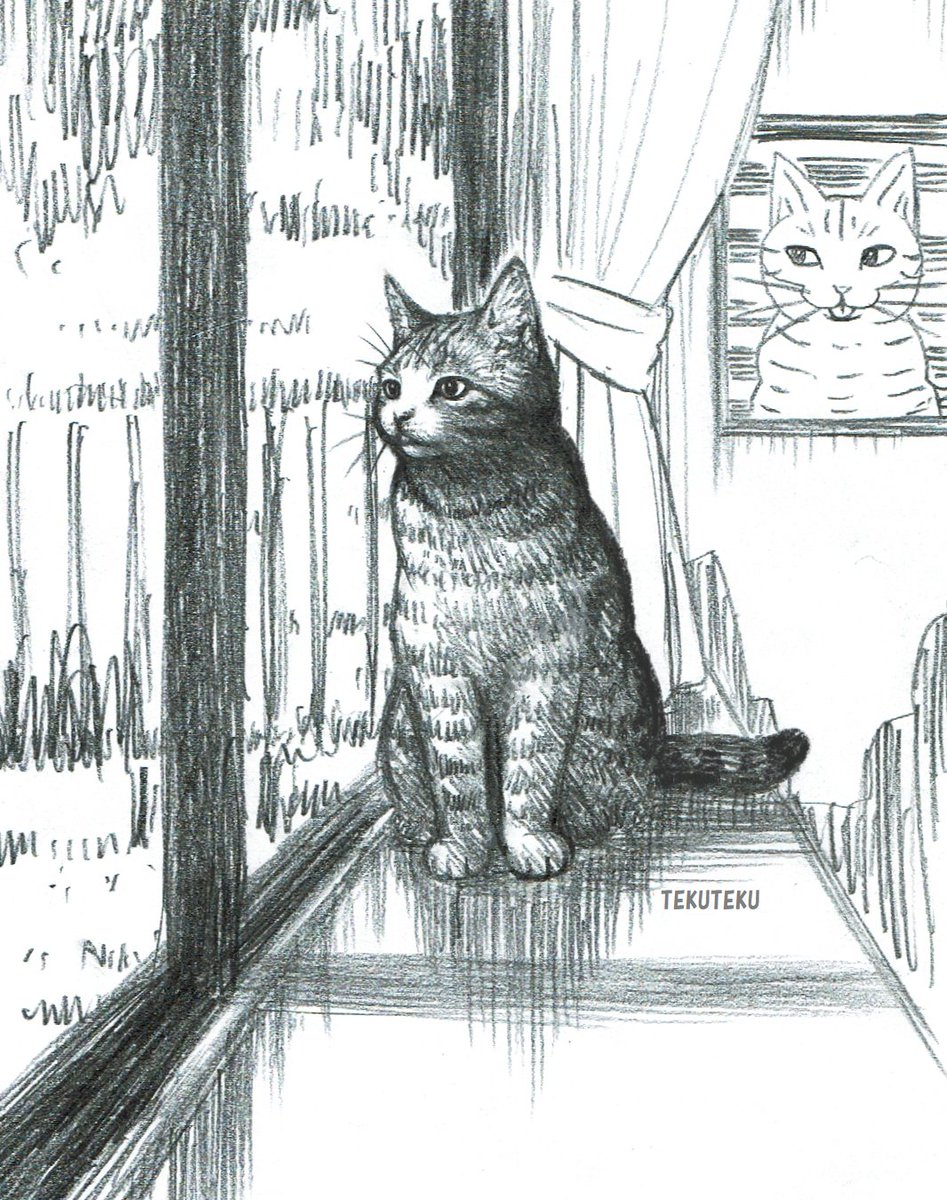 絵に命を与えることを常に考えていて、例えば文章で「その猫はいつもその窓辺で外を眺めていた」と、書くと生まれる存在感やイマジネーションがあるように、何もないところに線を引いたり色を塗れば何らかの存在が生まれるが、そこにどんな生命感を与えるのかは作家性の一つ🐾 #オリジナルイラスト 