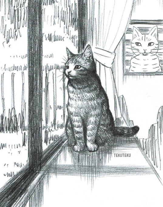 絵に命を与えることを常に考えていて、例えば文章で「その猫はいつもその窓辺で外を眺めていた」と、書くと生まれる存在感やイマジネーションがあるように、何もないところに線を引いたり色を塗れば何らかの存在が生まれるが、そこにどんな生命感を与えるのかは作家性の一つ🐾 #オリジナルイラスト 