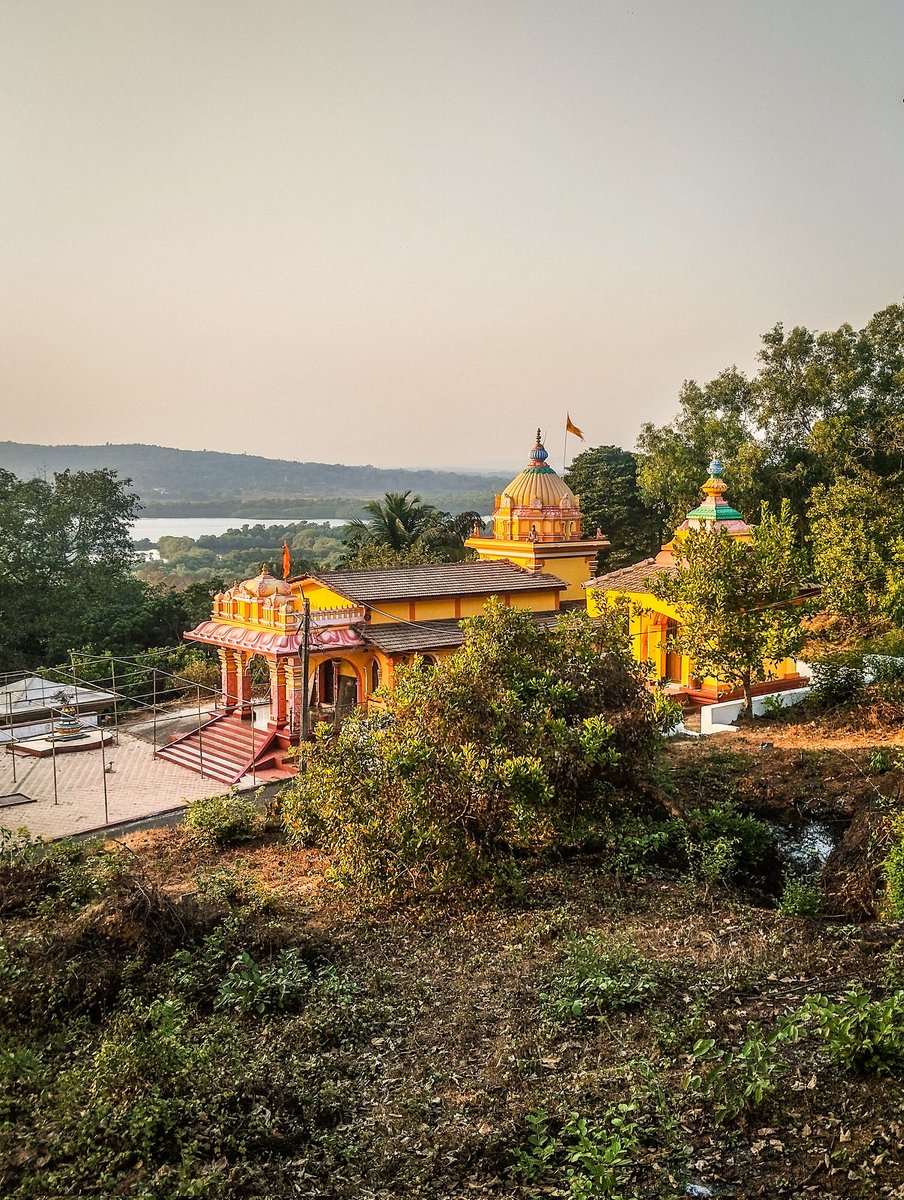 Dipalay Dey tweet media