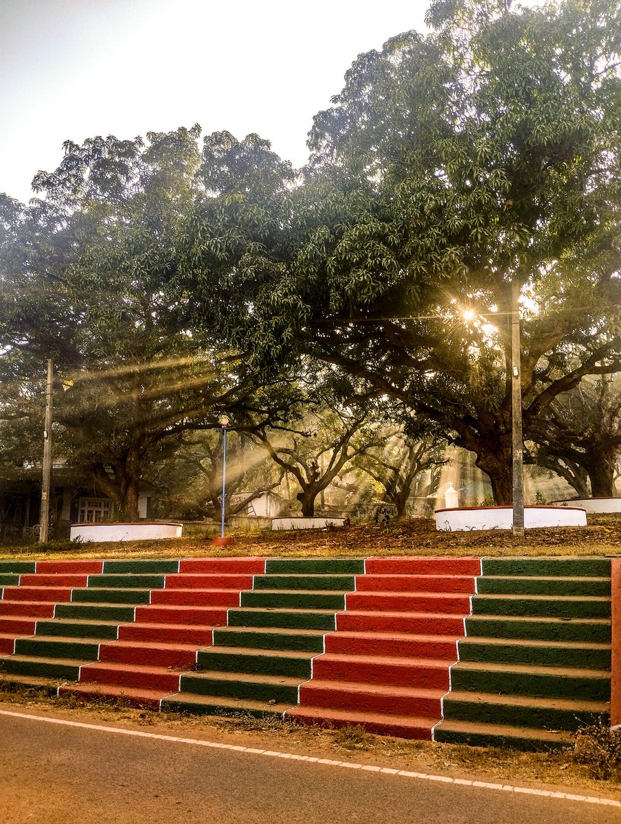 Dipalay Dey tweet media