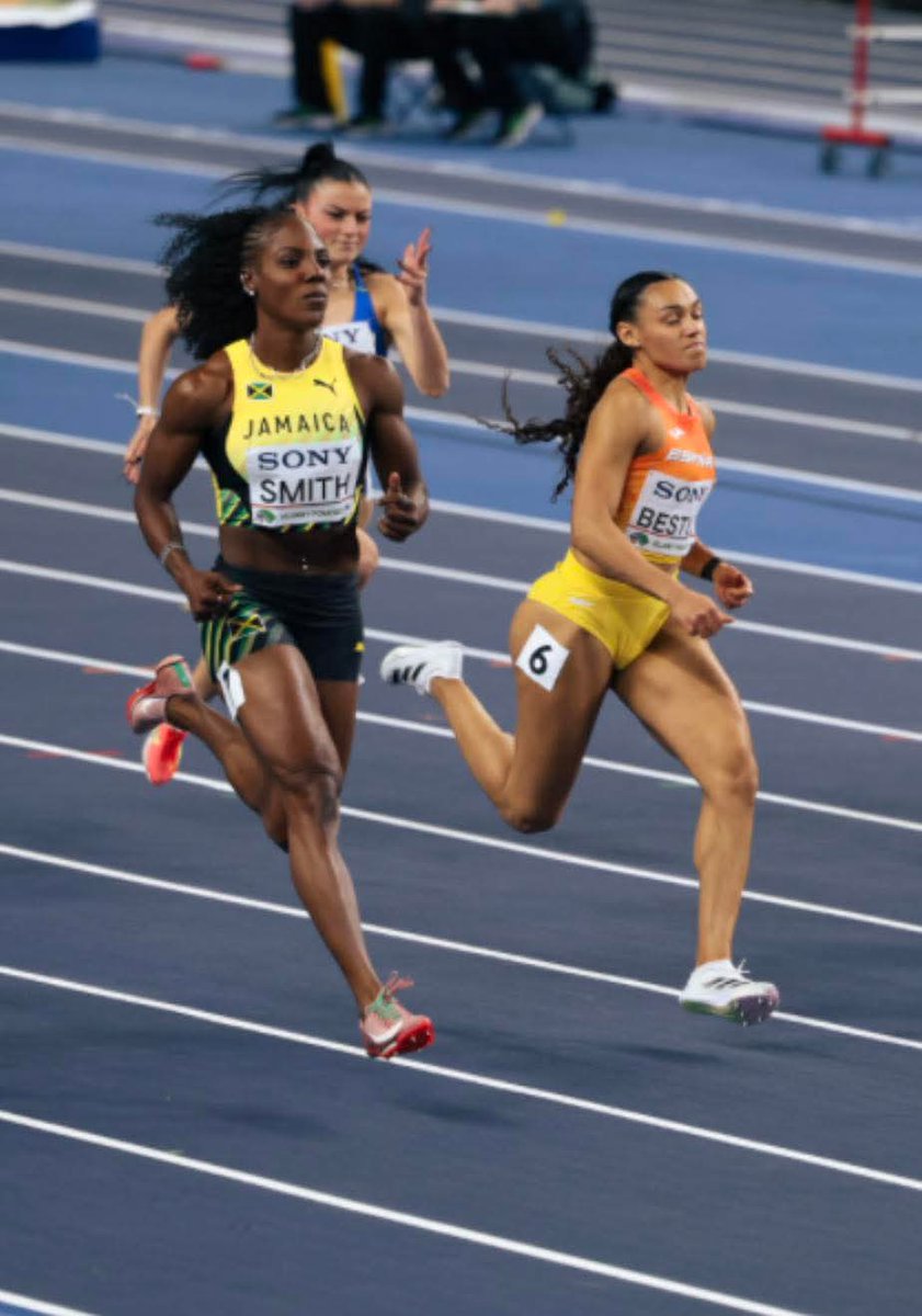 Terry Finisterre tweet media