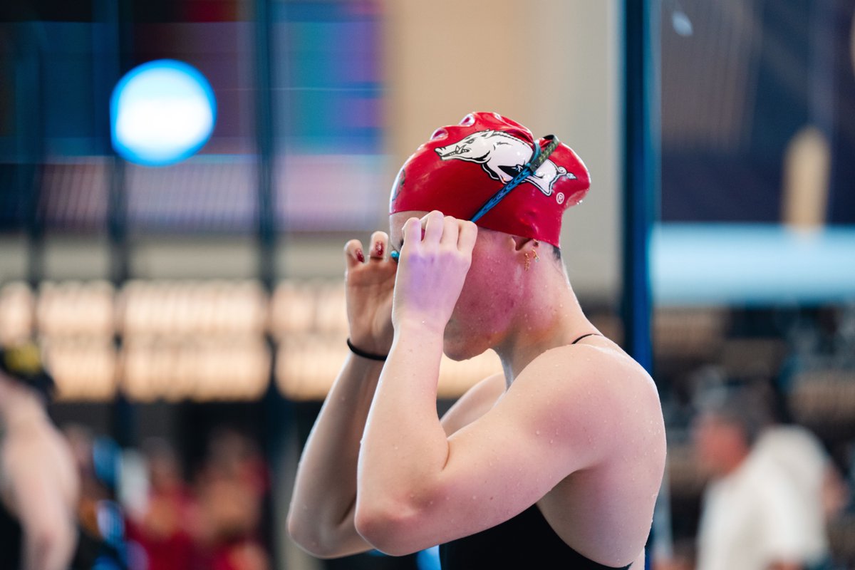 Arkansas Swim & Dive 🐗 tweet media