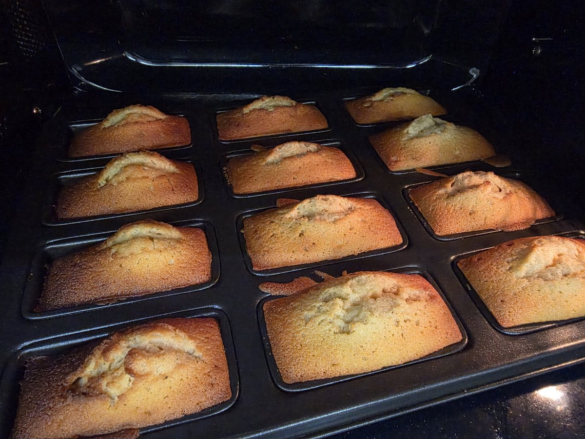 김뇽뇽 tweet media