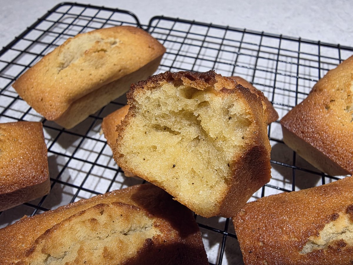 김뇽뇽 tweet media