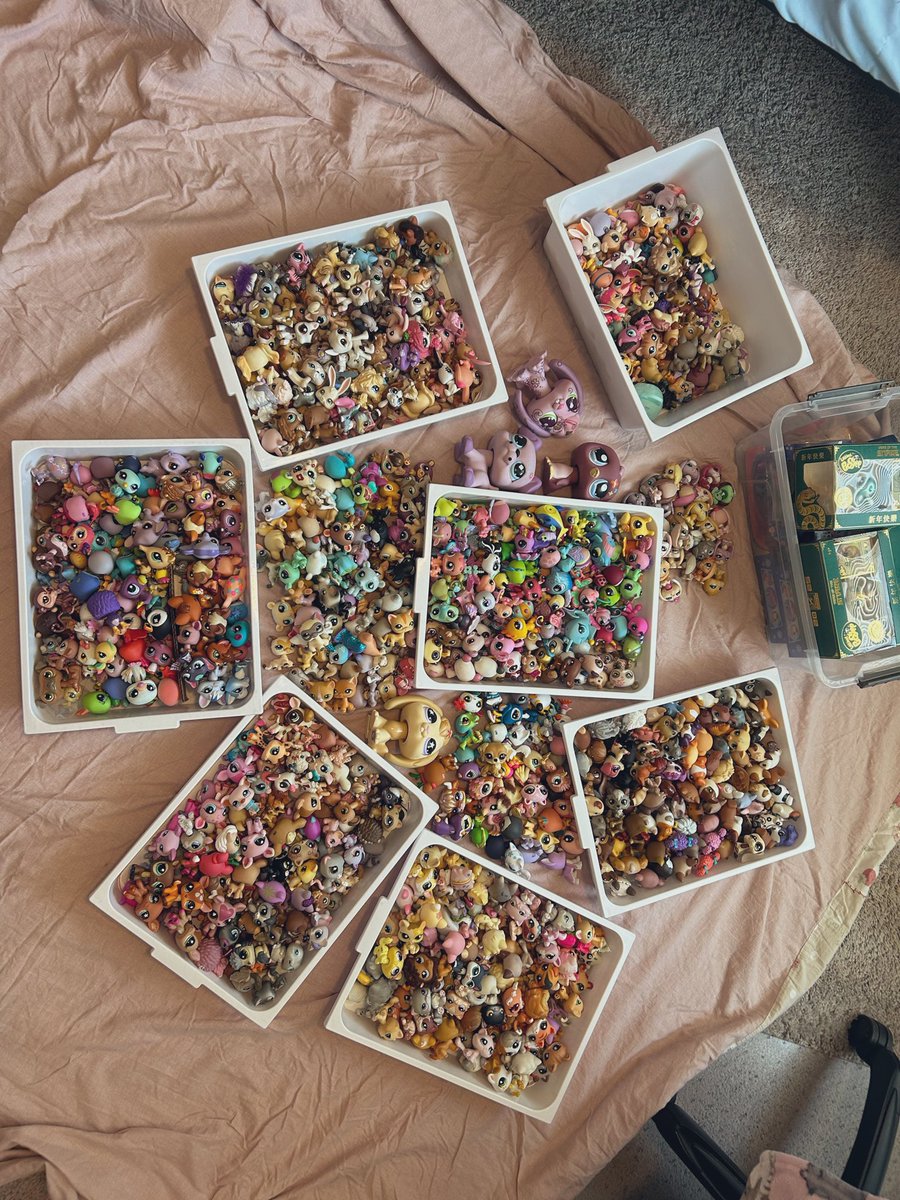 hayley ⭑.ᐟ tweet media