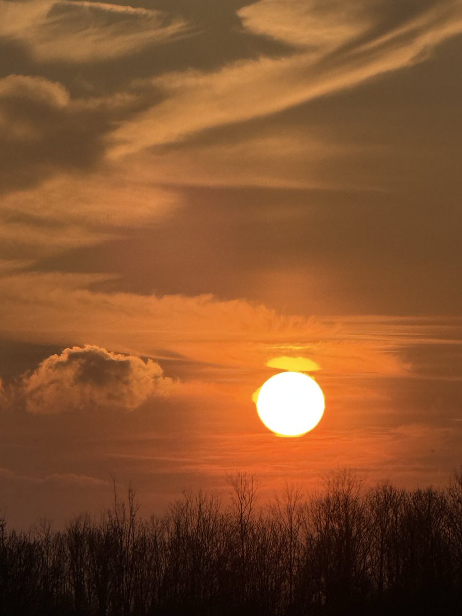 It‘s just ME 🎠 tweet media