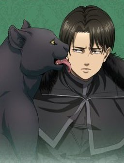 face reveal (i’m the cat)