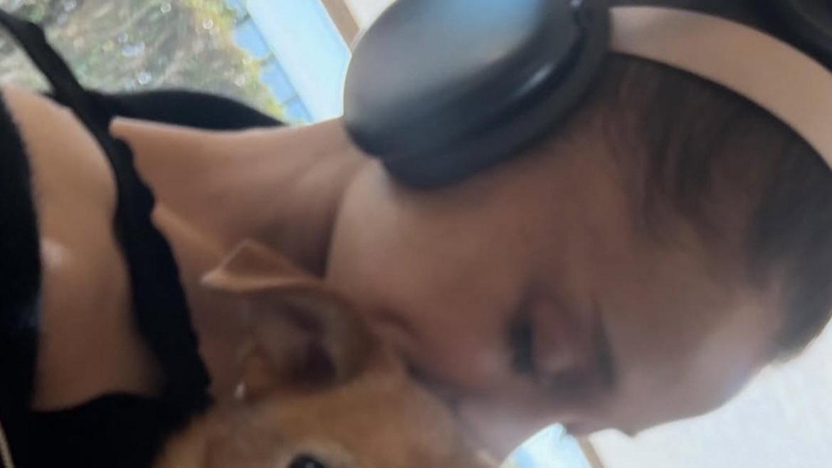 mel 🎀 tweet media