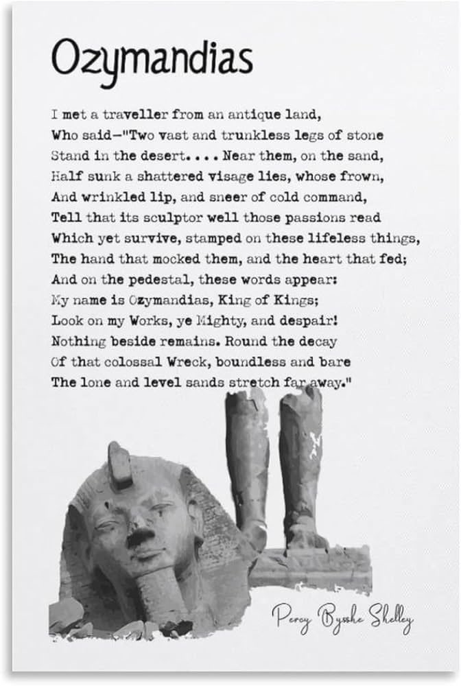 Maximizing tweet media