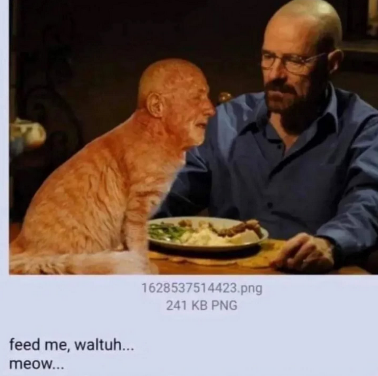 Shitpost 2077 tweet media