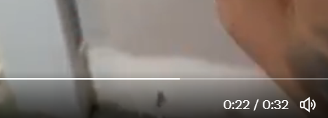 Matt Weber tweet media