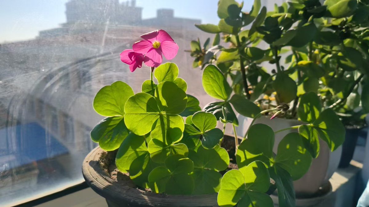 angila gonzalez tweet media