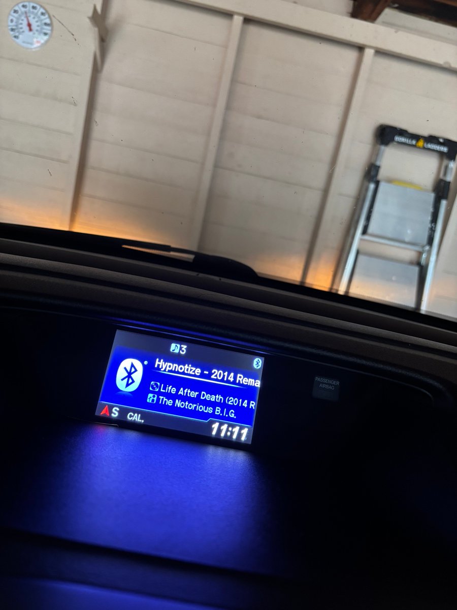 Tree Lawn Girl tweet media