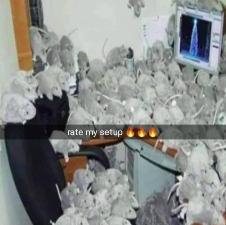 Shitpost 2077 tweet media