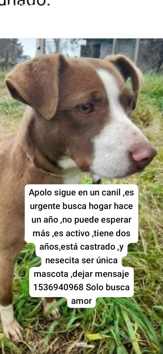 Difundimos