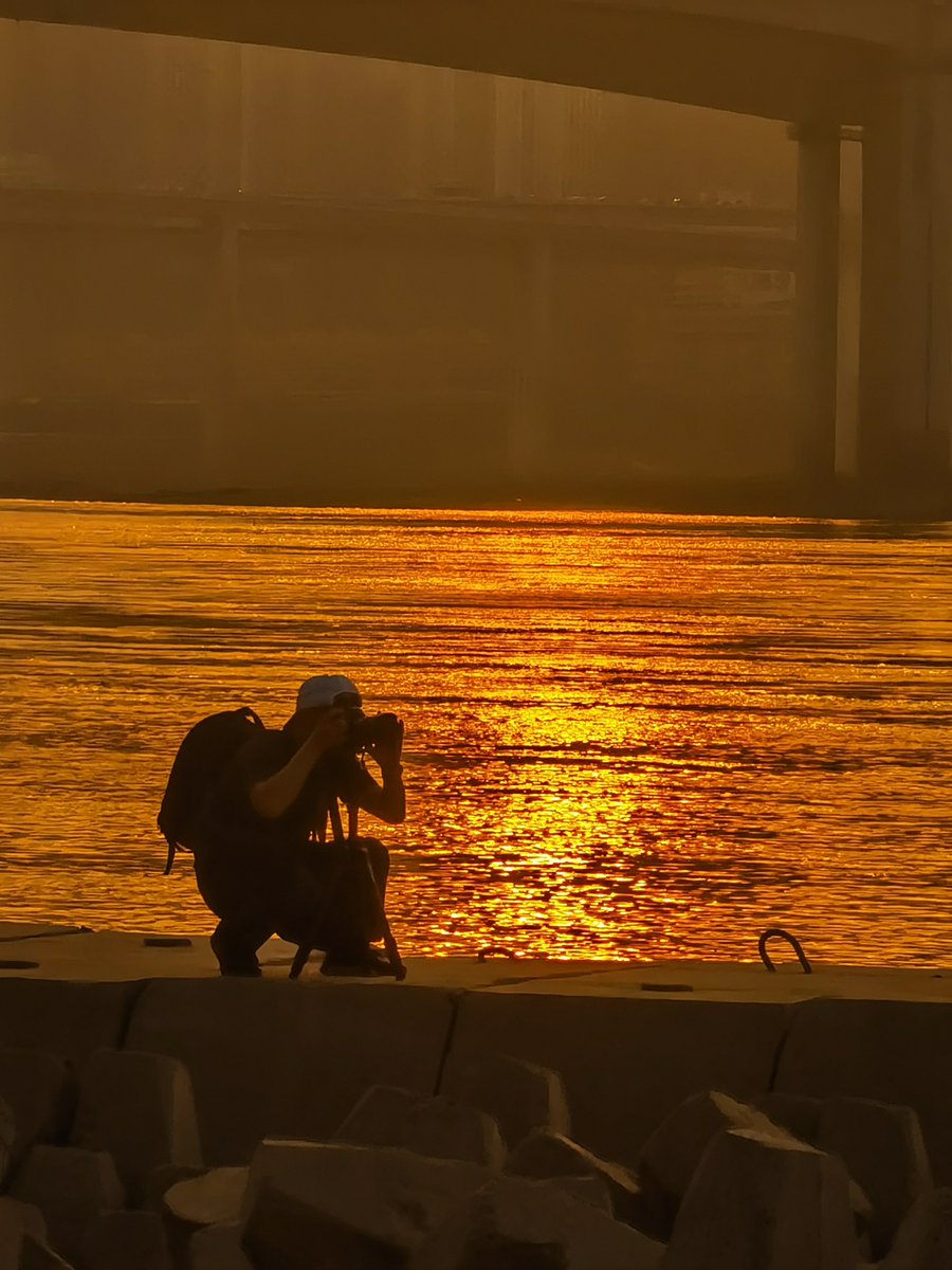 Alain Gilis tweet media