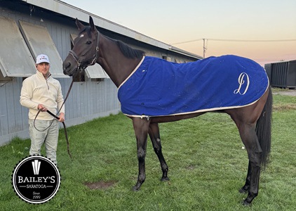 America’s Pastime Stables tweet media