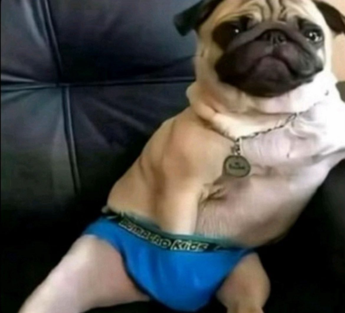 matt🇸🇱 tweet media