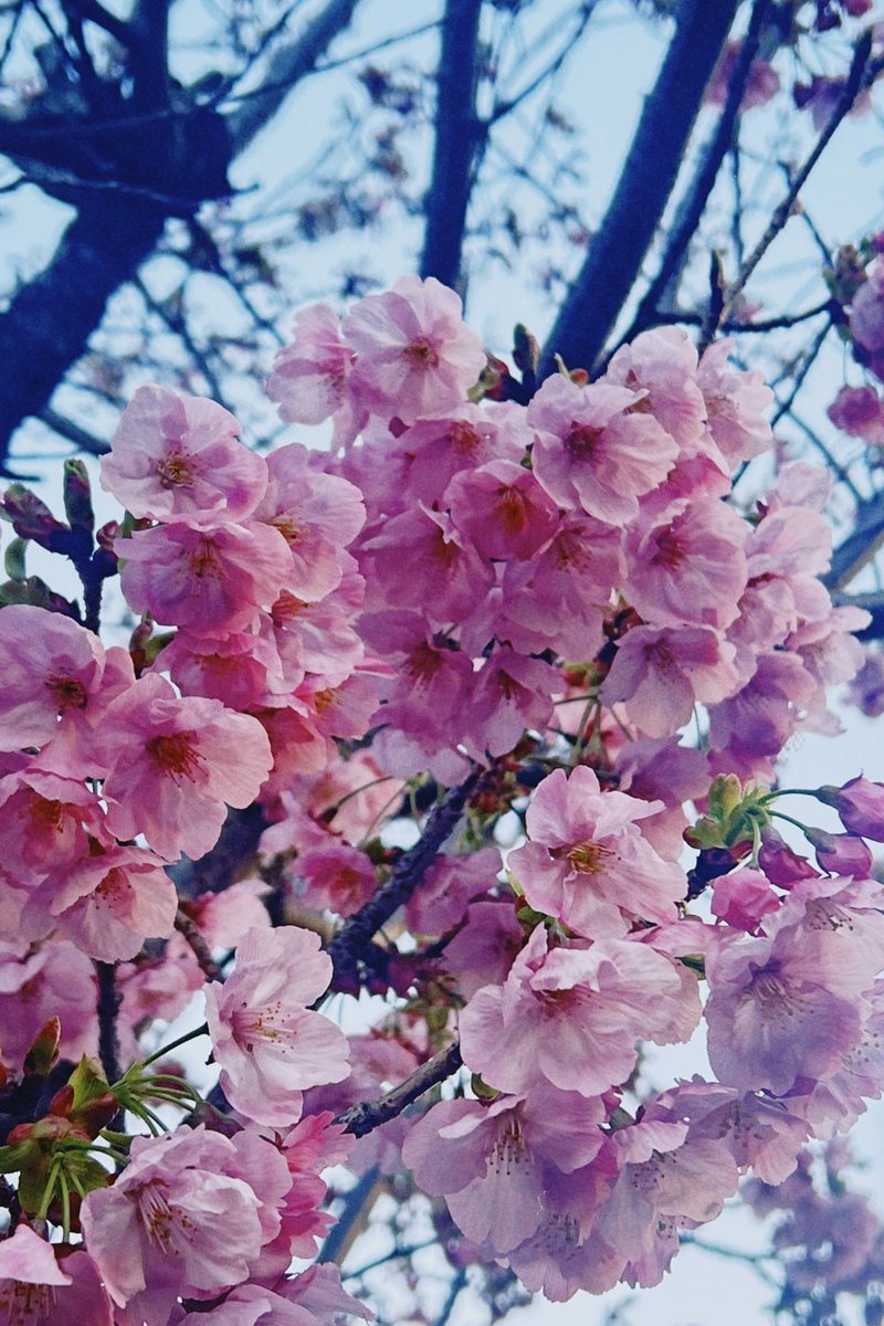 安藤エヌ｜𝙬𝙧𝙞𝙩𝙚𝙧 tweet media