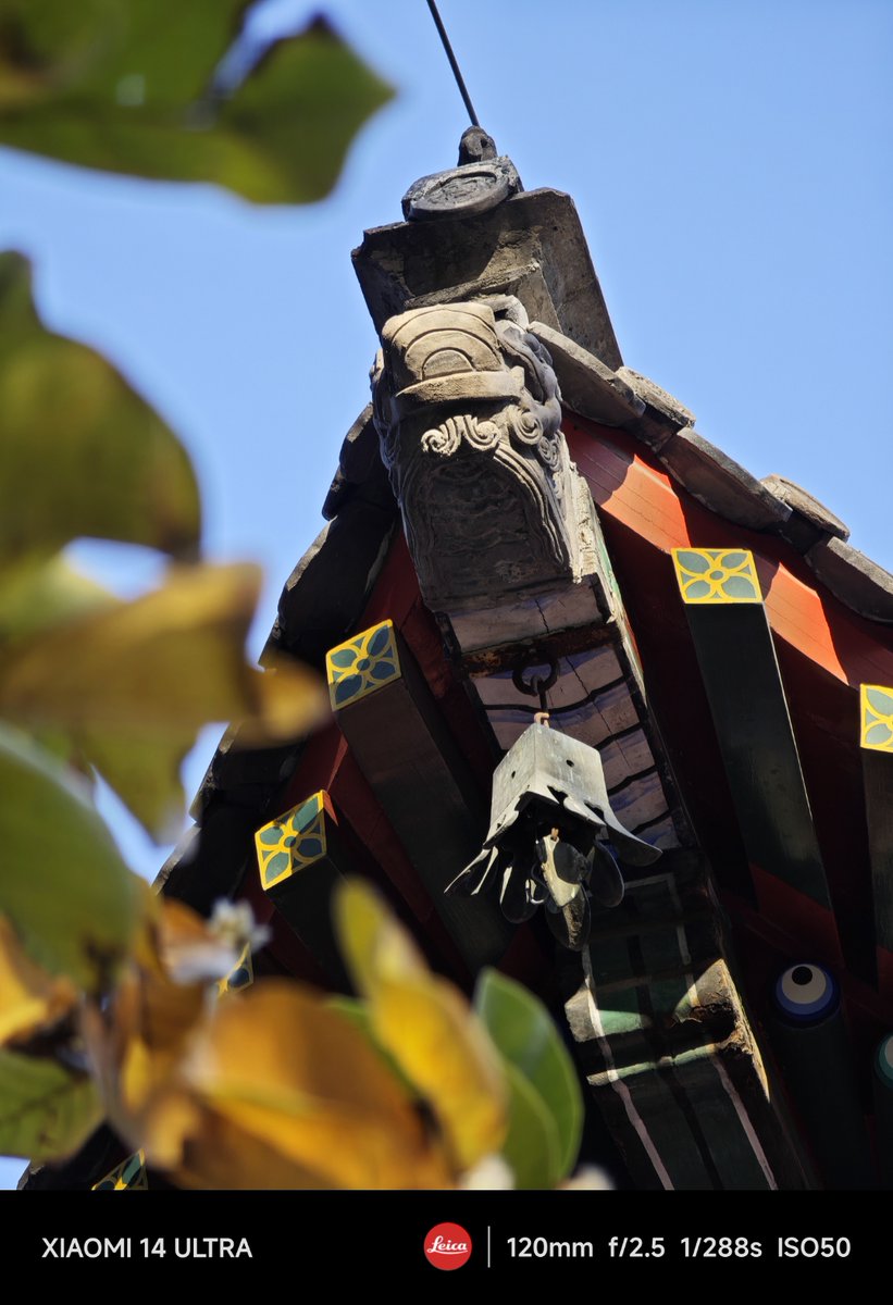 Fernandez richard tweet media