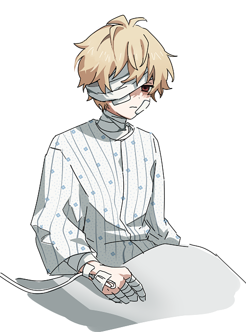 ドクブル tweet media