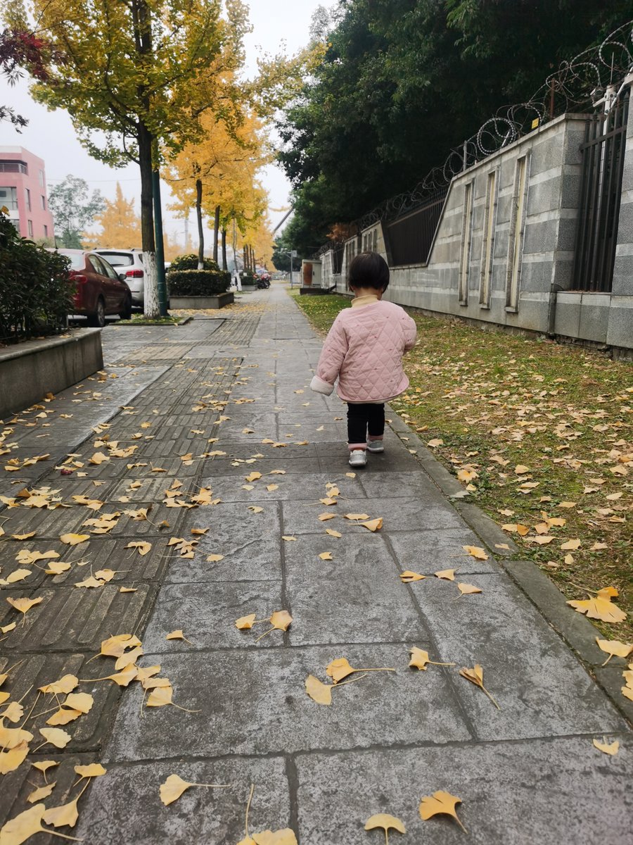 pier sicurella tweet media