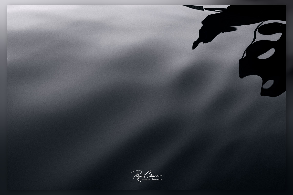 Rajiv Chopra tweet media