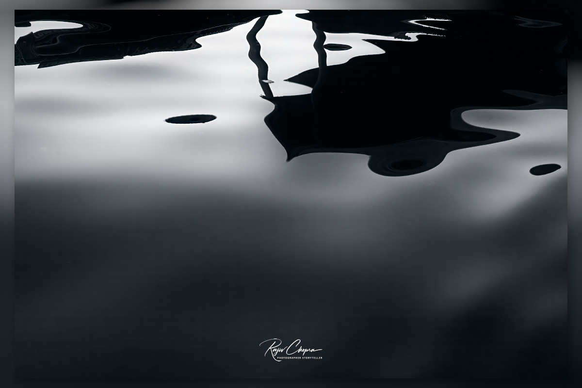 Rajiv Chopra tweet media