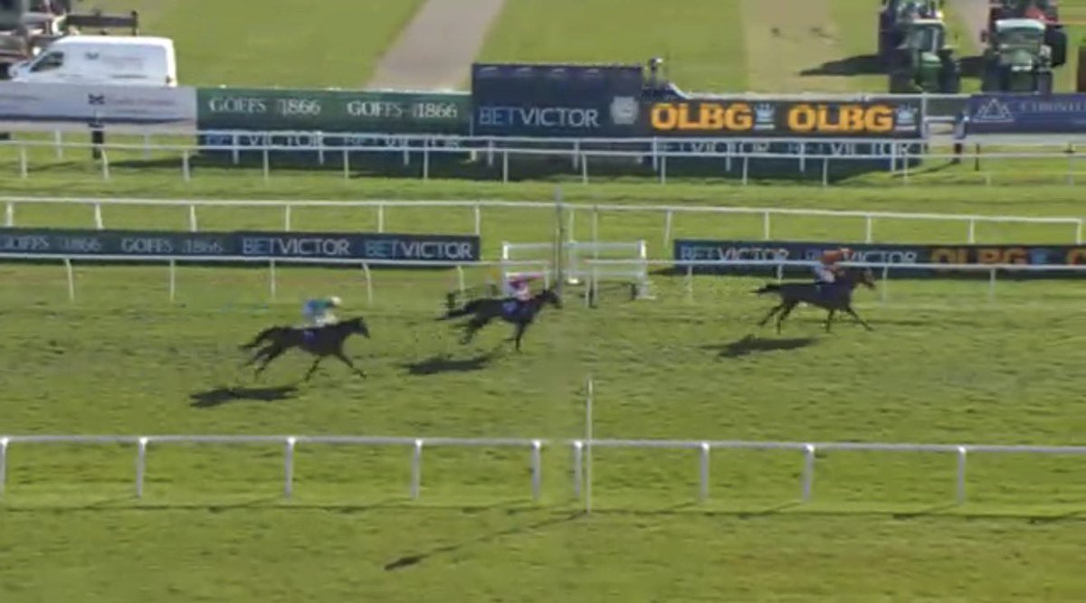 The Bookies Nightmare tweet media