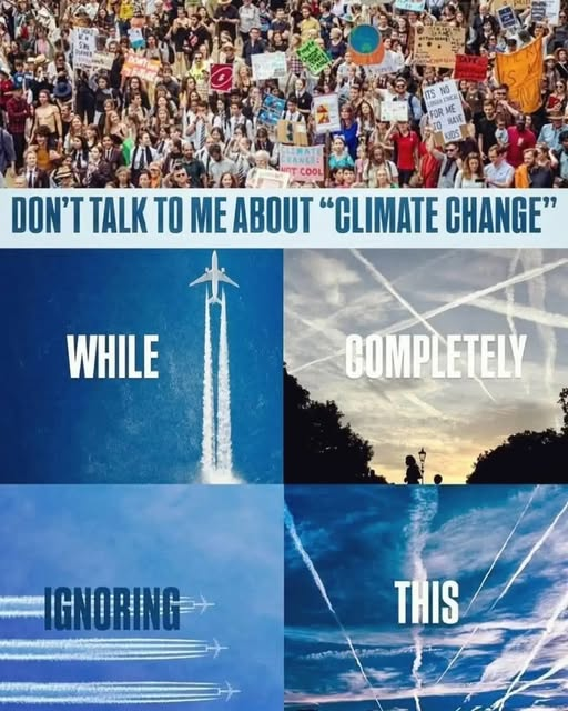 Dazzling Doubter tweet media