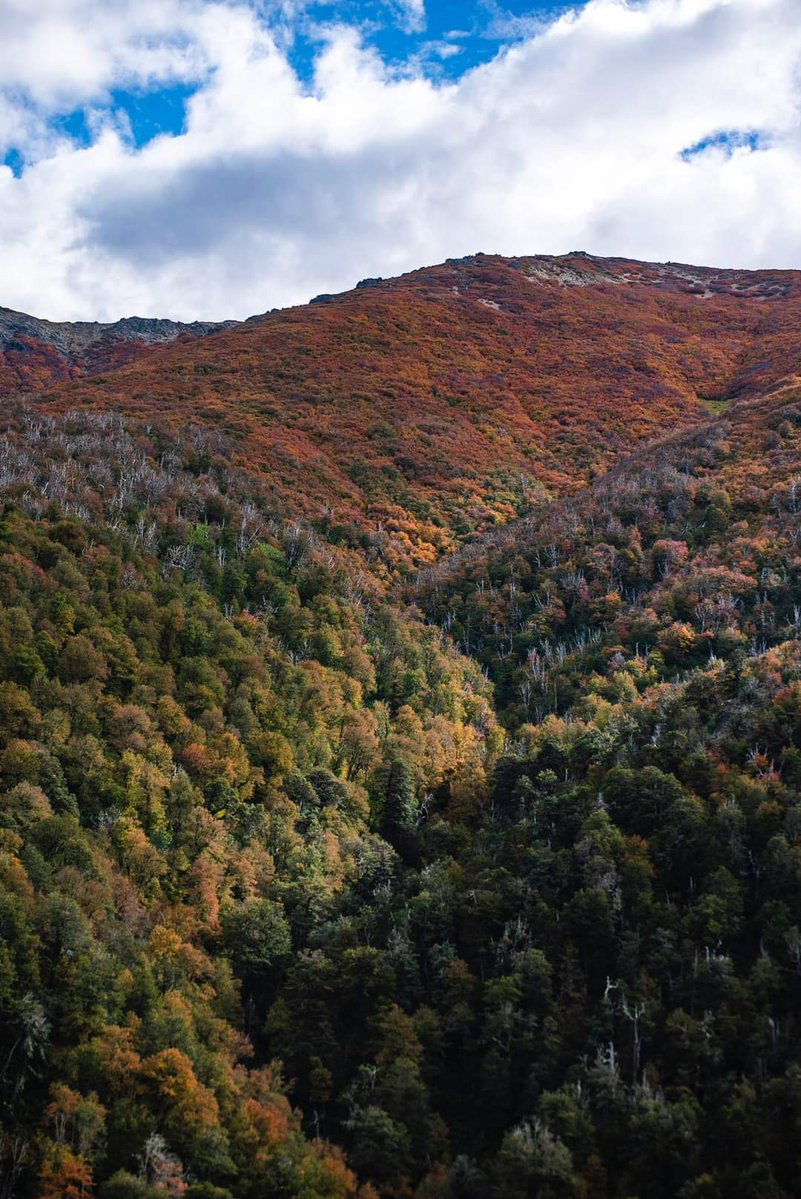 Red Turismo Argentina tweet media