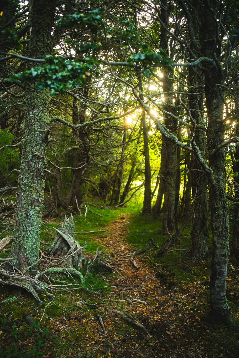 Red Turismo Argentina tweet media