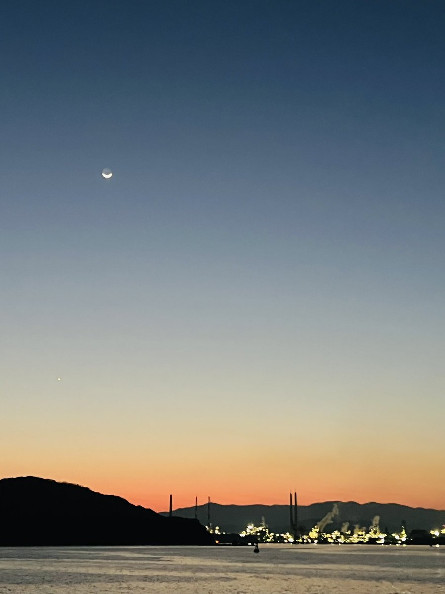 Reol れをる tweet media