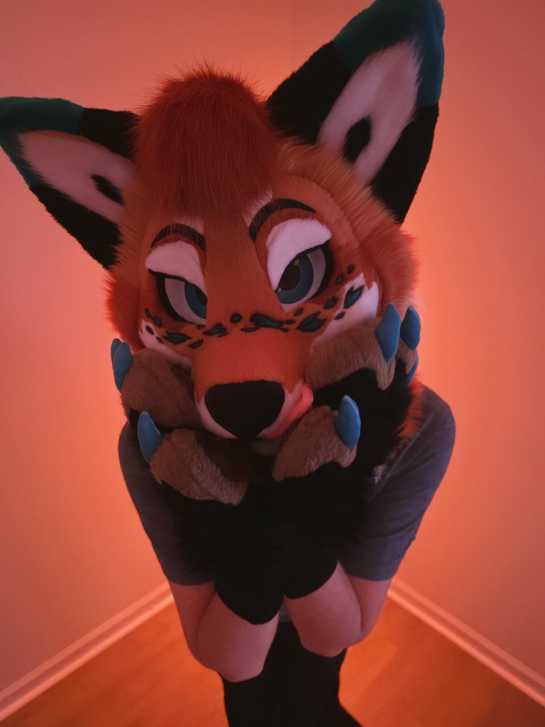 Riley 🧡 🔜 FWA, AC tweet media