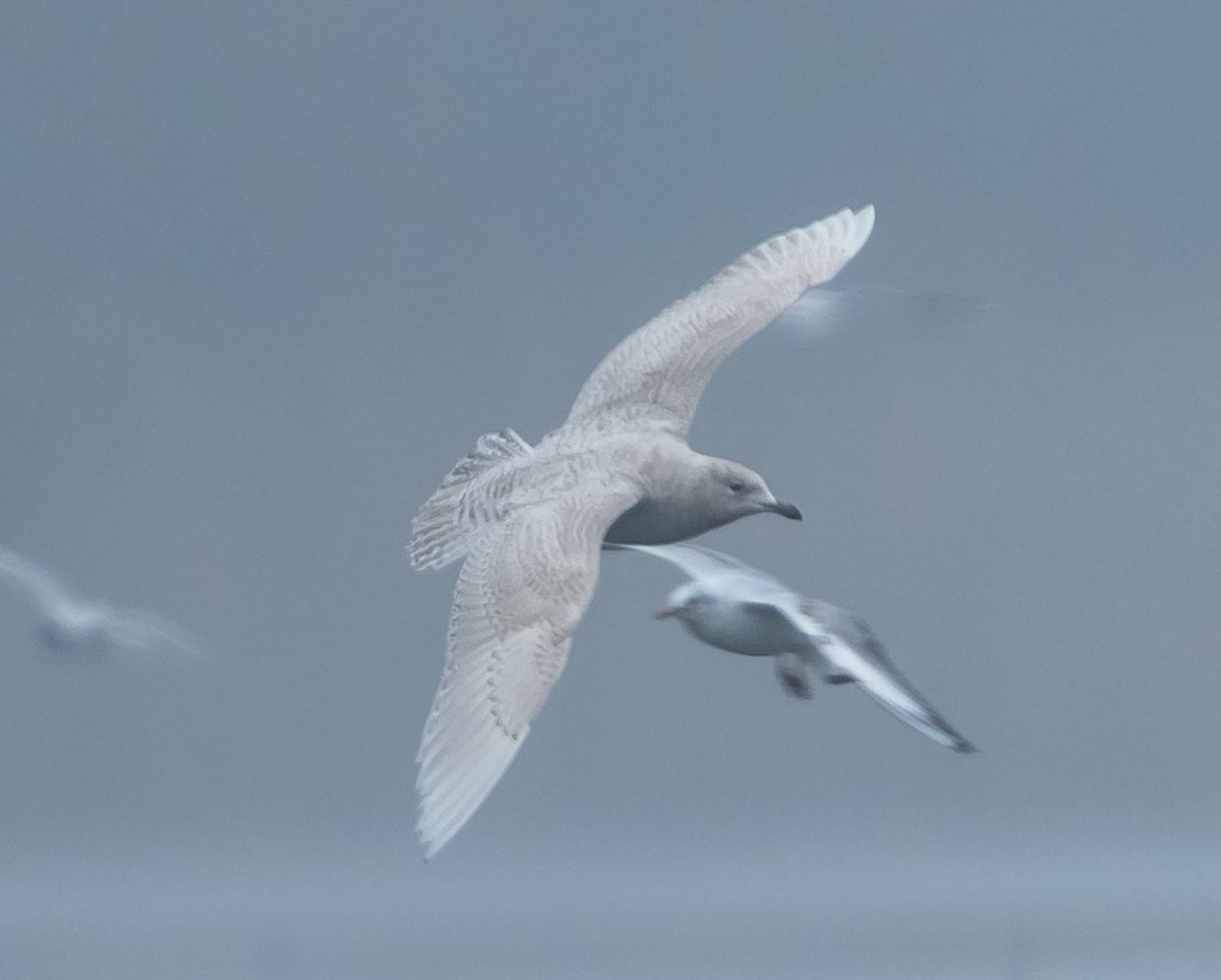 Julian Keeble tweet media