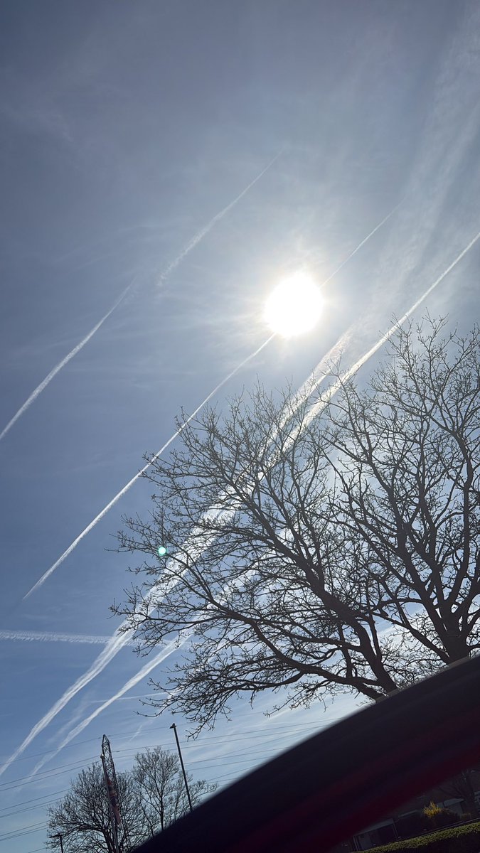 Alba ☮️ 🇬🇧 ✝️ tweet media