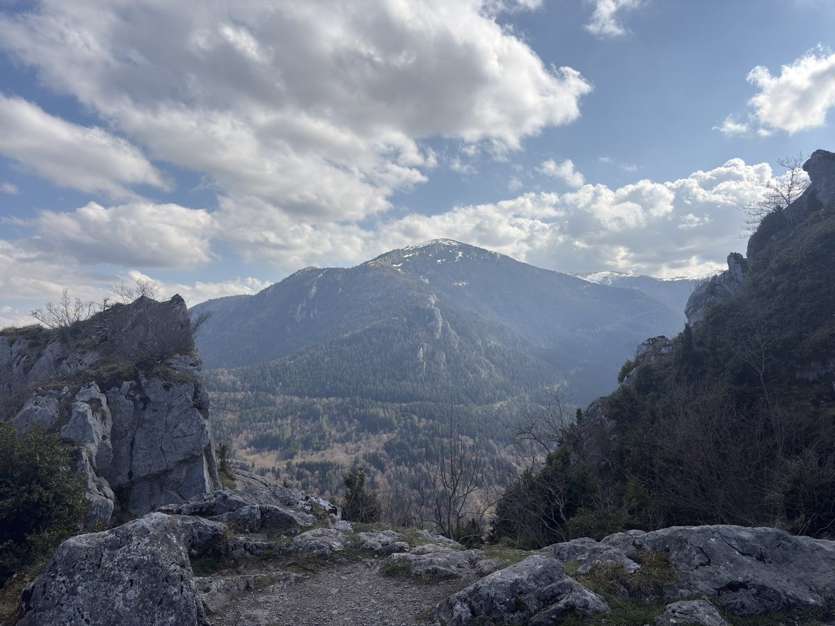 Boulet De Canon Nucléaire 🇫🇷 tweet media
