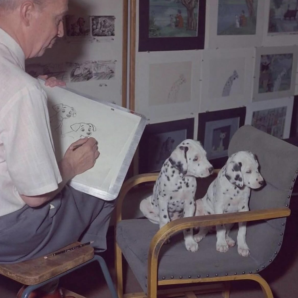 allison harvard burke tweet media