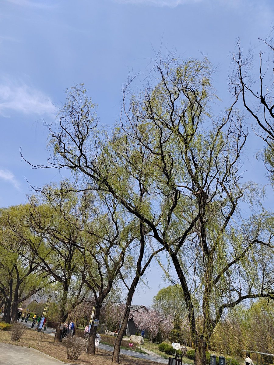 Eloann Shakur tweet media