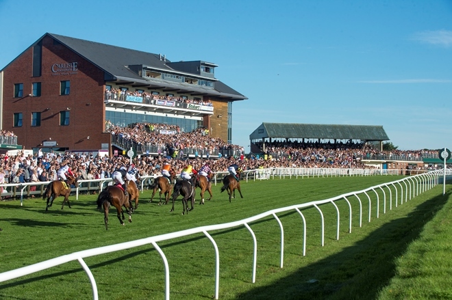 🐦Pigeon🐎Island🐦 tweet media